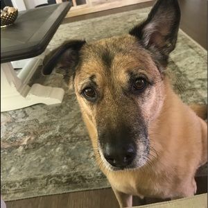 Meet your Posher, Alex